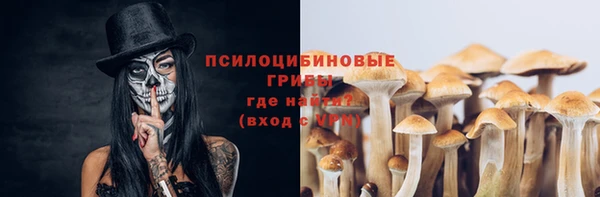 spice Алексин