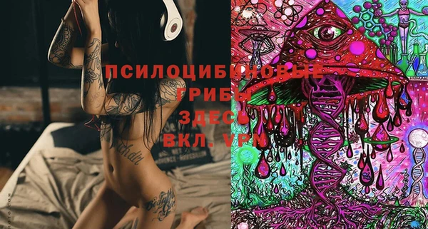 дживик Алексеевка