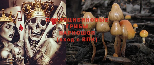 дживик Алексеевка