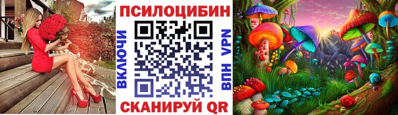 Галлюциногенные грибы мицелий Буй